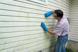 Best Siding for Commercial Buildings  in Denver City, TX